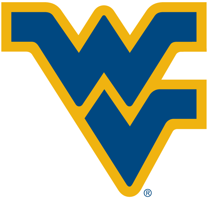 West Virginia Mountaineers 1980-Pres Alternate Logo diy iron on heat transfer